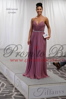 adriana prom dress