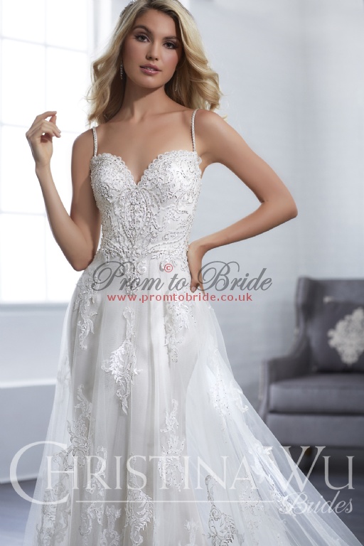 Christina Wu CW15660