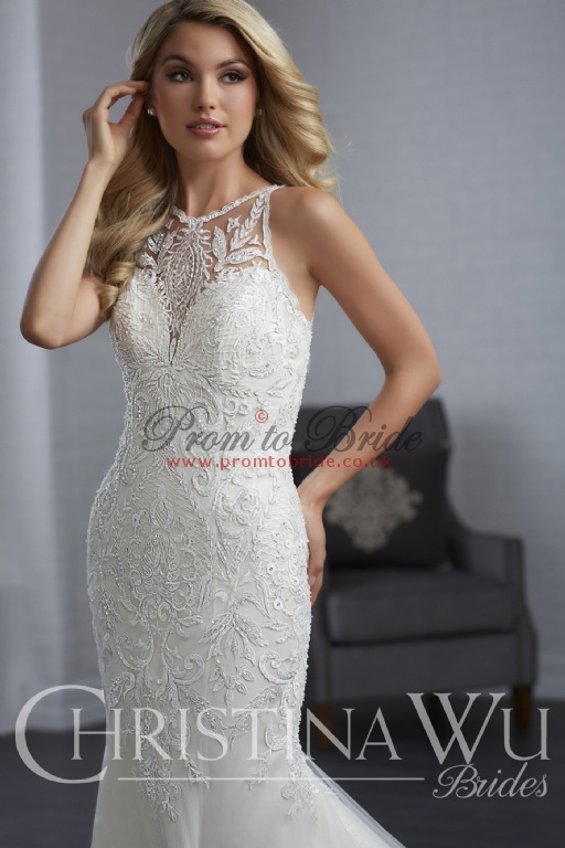 Christina Wu CW15658