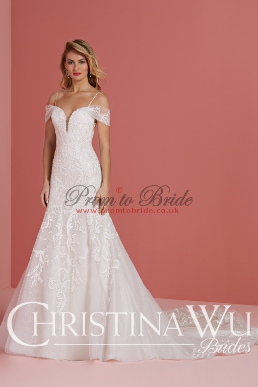 Christina Wu CW15745