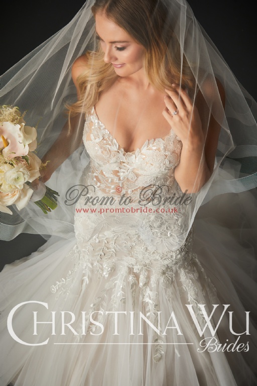 Christina Wu CW15770
